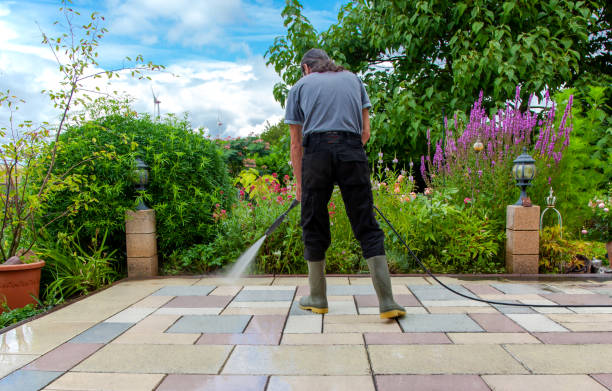 Best Driveway Pressure Washing  in Clayton, NJ